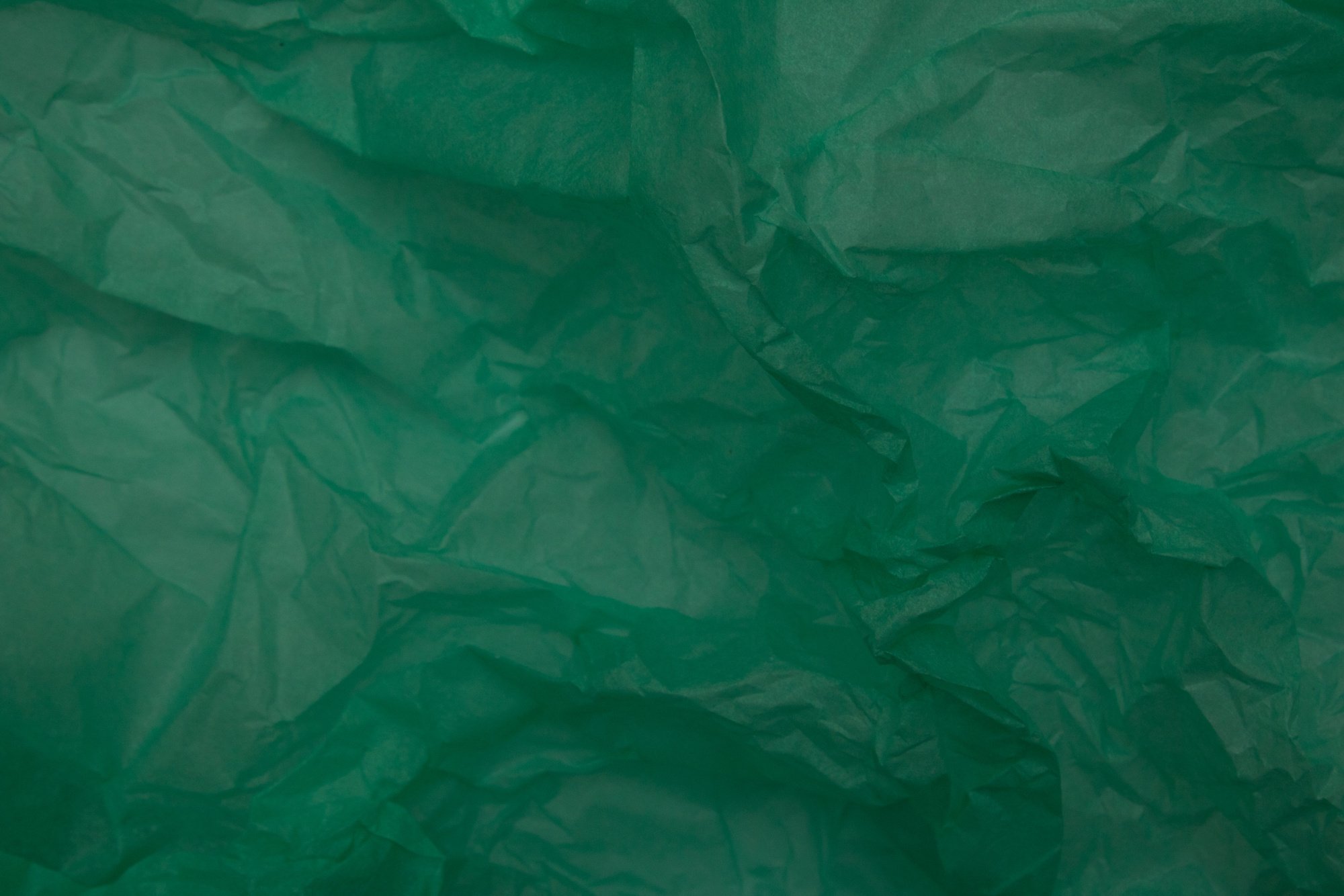 crumpled sheets of green paper